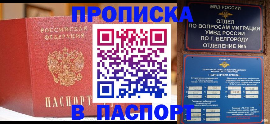 временная регистрация в квартире в Омской области